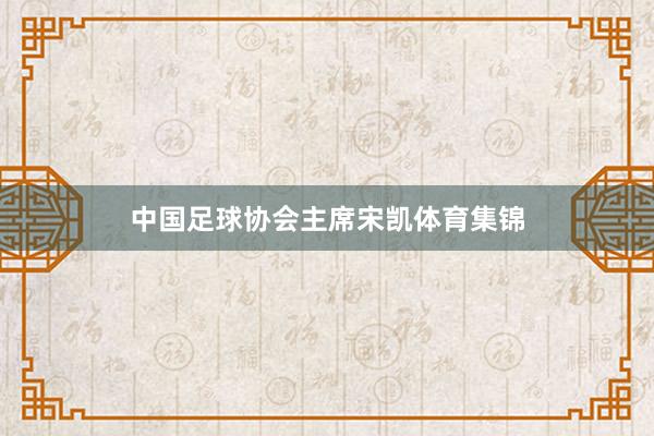 中国足球协会主席宋凯体育集锦