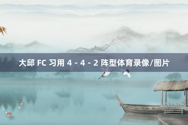 大邱 FC 习用 4 - 4 - 2 阵型体育录像/图片