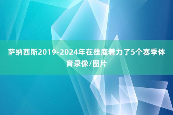 萨纳西斯2019-2024年在雄鹿着力了5个赛季体育录像/图片