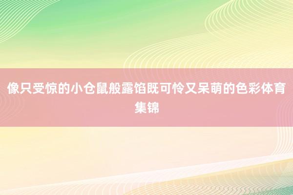 像只受惊的小仓鼠般露馅既可怜又呆萌的色彩体育集锦