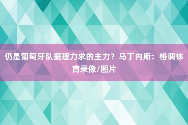 仍是葡萄牙队据理力求的主力？马丁内斯：格调体育录像/图片