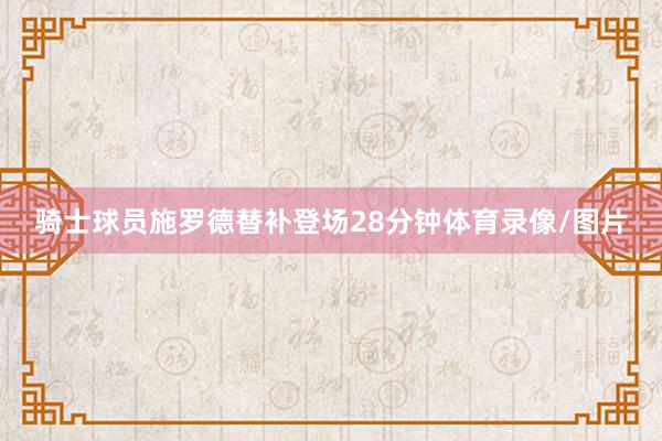 骑士球员施罗德替补登场28分钟体育录像/图片